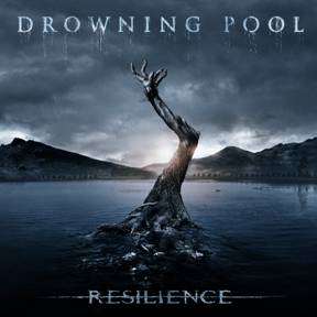 drowning pool cover