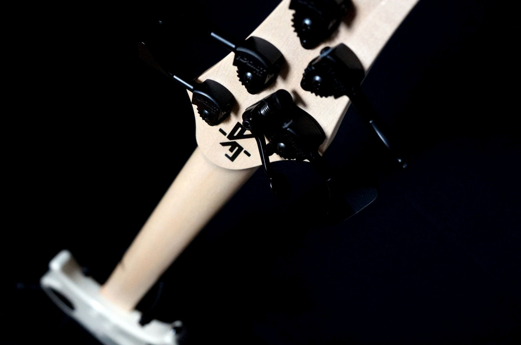 alberto rigoni new bass 2