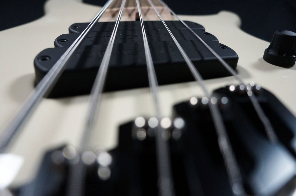 alberto rigoni new bass 5